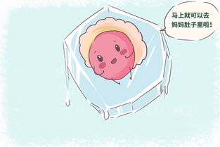 凍胚胎移植前注意事項