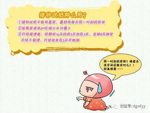 排卵期備孕注意事項,排卵期男士注意事項,排卵期同房后注意事項