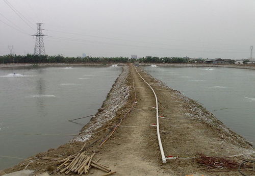 魚塘增氧注意事項(xiàng)