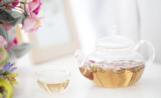 玫瑰花移栽注意事項,養(yǎng)玫瑰花注意事項,玫瑰花的養(yǎng)殖方法和注意事項