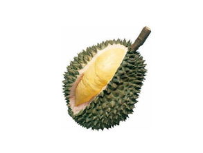 榴蓮的注意事項(xiàng),吃榴蓮的注意事項(xiàng),榴蓮運(yùn)輸注意事項(xiàng)