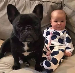 法斗順產注意事項