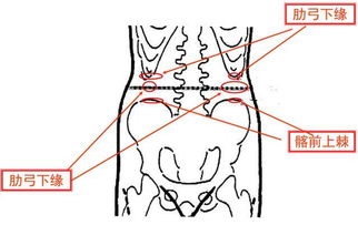 腰圍的測量方法及注意事項,測量腰圍的注意事項,腰圍的注意事項