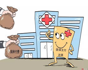 種梅豆時(shí)注意事項(xiàng)