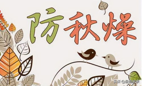 注意事項(xiàng),秋天,運(yùn)動