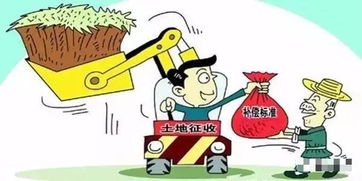 農(nóng)民村里征地注意事項(xiàng)