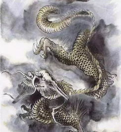 屬龍住宅注意事項