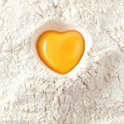 適應(yīng)癥,蛋白質(zhì),注意事項(xiàng)