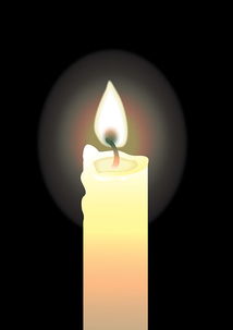 蠟燭燃燒的實驗注意事項,女巫蠟燭的注意事項,干花蠟燭燃燒注意事項