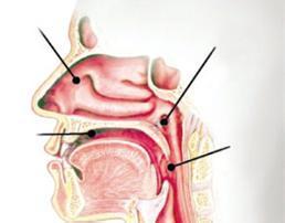 食道癌手術(shù)后注意事項(xiàng)