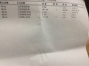 打乙肝抗體前注意事項