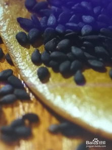 腎癌,切除,注意事項(xiàng),飲食