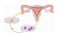 射精,逆行,注意事項(xiàng)