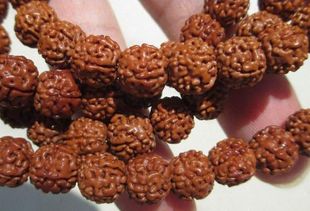 盤金剛菩提注意事項