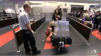 安檢,注意事項(xiàng),飛機(jī),最新