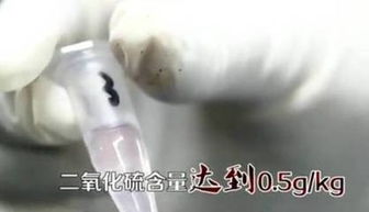 包大黃米粽子注意事項,吃大棗的注意事項,粽子的制作注意事項