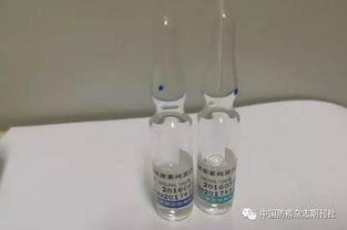 皮膚消毒試驗操作過程注意事項