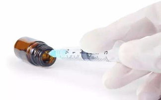 疫苗,飲水,注意事項