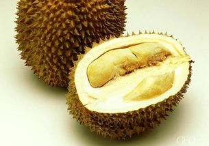 榴蓮食用注意事項(xiàng)