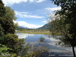 去拉薩旅游身體注意事項,去拉薩的注意事項,11月到拉薩旅游注意事項