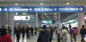 出境旅游坐飛機(jī)注意事項