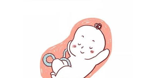 胎心監(jiān)護的注意事項,胎心監(jiān)護使用流程及注意事項,胎心監(jiān)測要注意事項