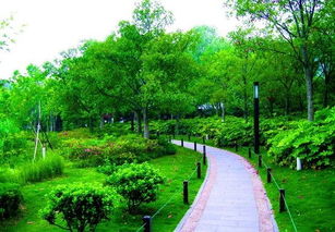 綠化,幼兒園,注意事項,入口