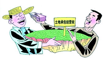 承包農(nóng)村土地合同注意事項,承包農(nóng)民土地注意事項,農(nóng)村土地互換注意事項