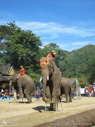 旅游安全注意事項(xiàng),青海旅游注意事項(xiàng),旅游注意事項(xiàng)須知