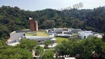 去火葬場注意事項