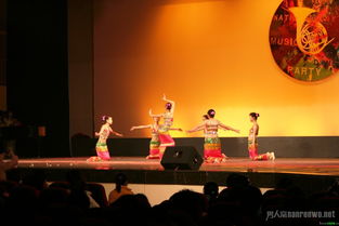 注意事項(xiàng),演出,表演