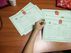 使用子查詢時的注意事項有哪些,使用子查詢需要注意事項,曹全碑的特點及注意事項