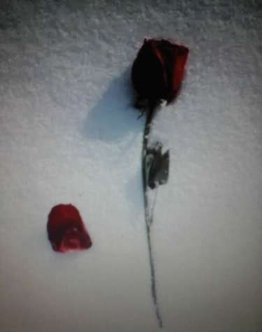 嫁給你到底有什么好處？