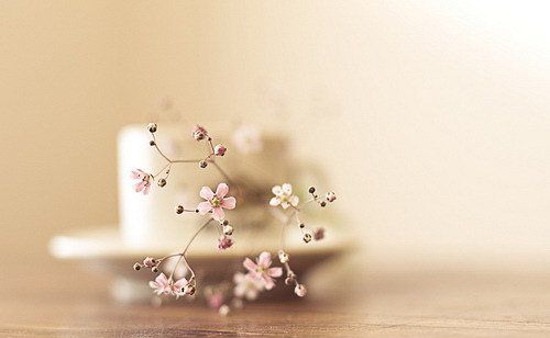 手術(shù)臺上，老公放棄了我