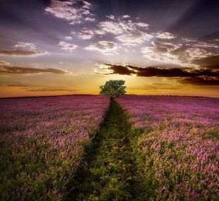 縱有疾風(fēng)起，人生不言棄