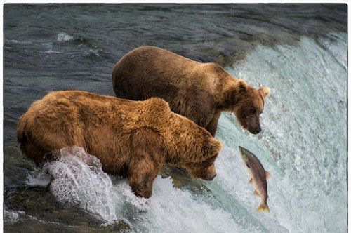 3號線里的愛情花