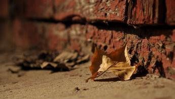 競爭對手成知心愛人