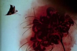 此岸情，彼岸花