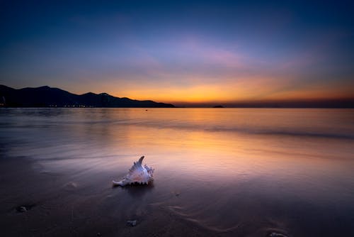 連載中林逸重生在梁國(guó)小說(shuō)林逸林寧在線閱讀 連載中林逸重生在梁國(guó)小說(shuō)林逸林寧在線閱讀