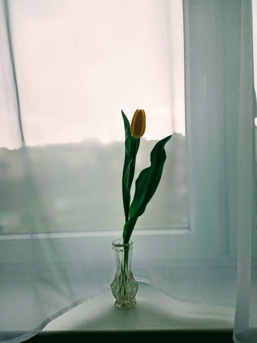 【合集】關(guān)于雨的詩(shī)歌10篇