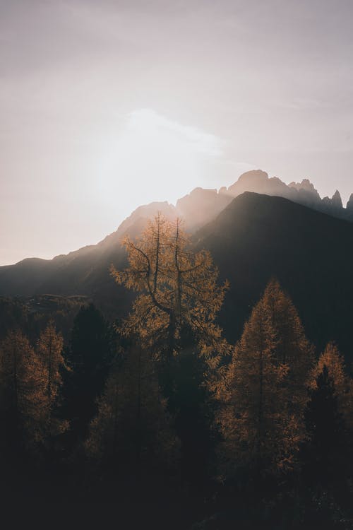 元旦賀詞祝福語大全 元旦賀詞祝福語大全