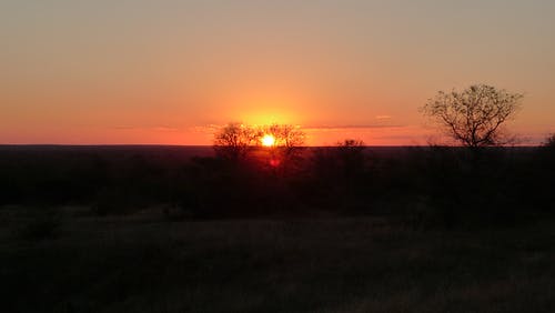 大唐庶子皇帝穿越小說李恪李世民無錯版閱讀 大唐庶子皇帝穿越小說李恪李世民無錯版閱讀