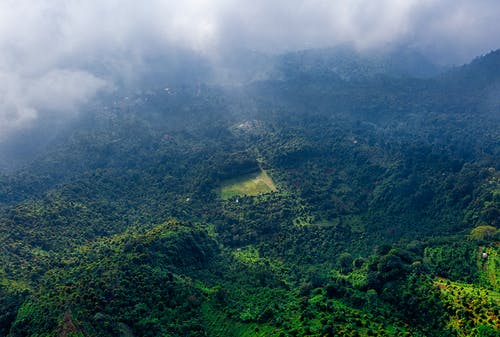 現(xiàn)代詩歌特點及寫作方法
