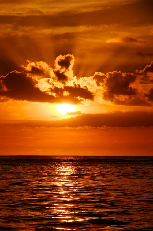 五年級想象作文我的夢中小屋 五年級想象作文我的夢中小屋