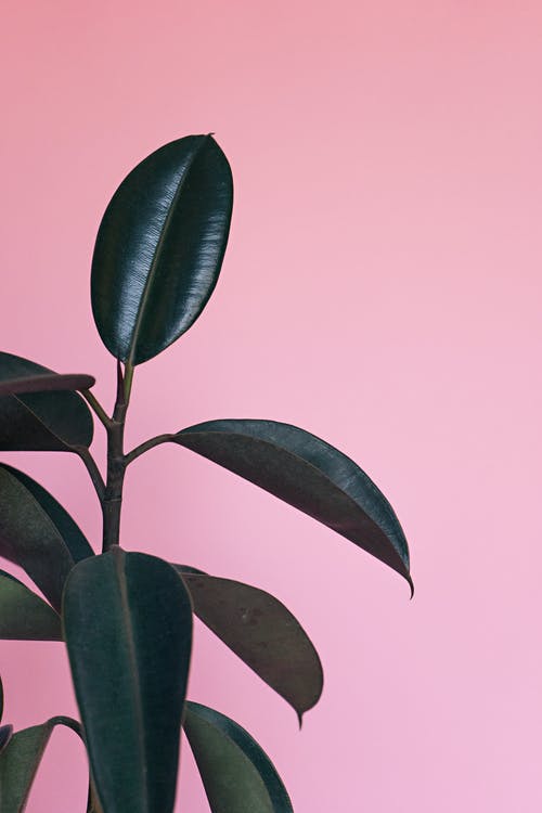 結(jié)婚拜堂祝福語(yǔ) 結(jié)婚拜堂祝福語(yǔ)