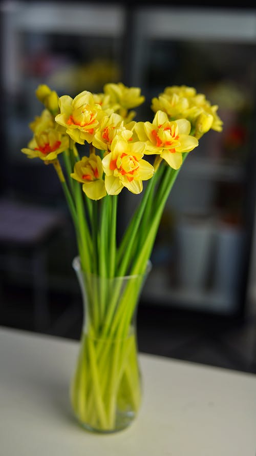 返老還童英文臺詞 返老還童英文臺詞