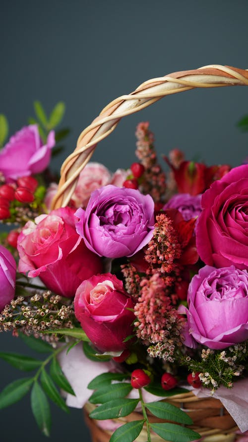 看看，秋的色彩詩歌