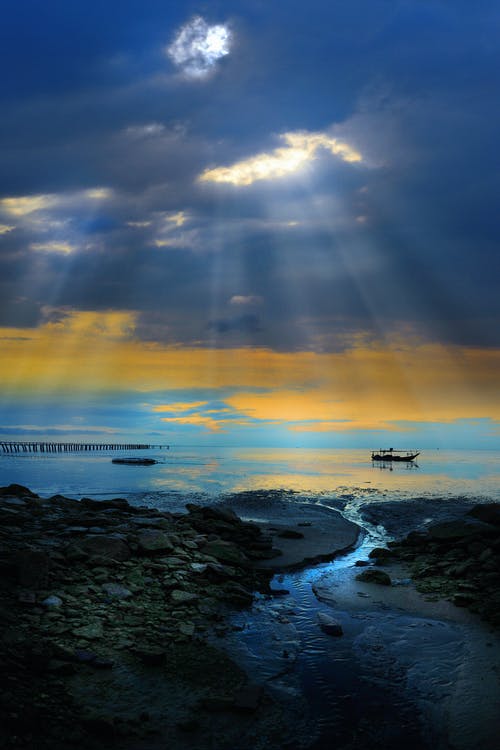 實用的我的日記范文錦集5篇