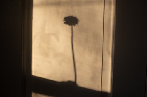 2020年優(yōu)美的處暑祝福語摘錄36句