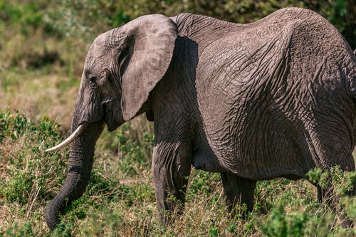 《水仙子 和盧疏齋西湖》原文及翻譯賞析 《水仙子 和盧疏齋西湖》原文及翻譯賞析